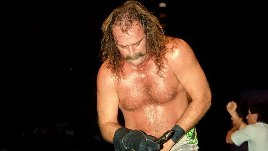 Jake roberts wcw halloween havoc 1992